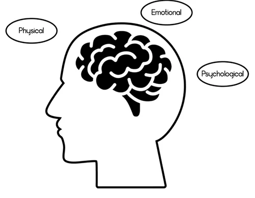 Dibjo cabeza con cerebro