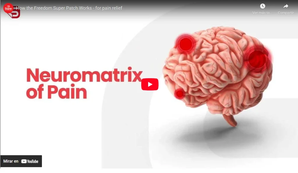 Video sobre neuromatrix y dolor